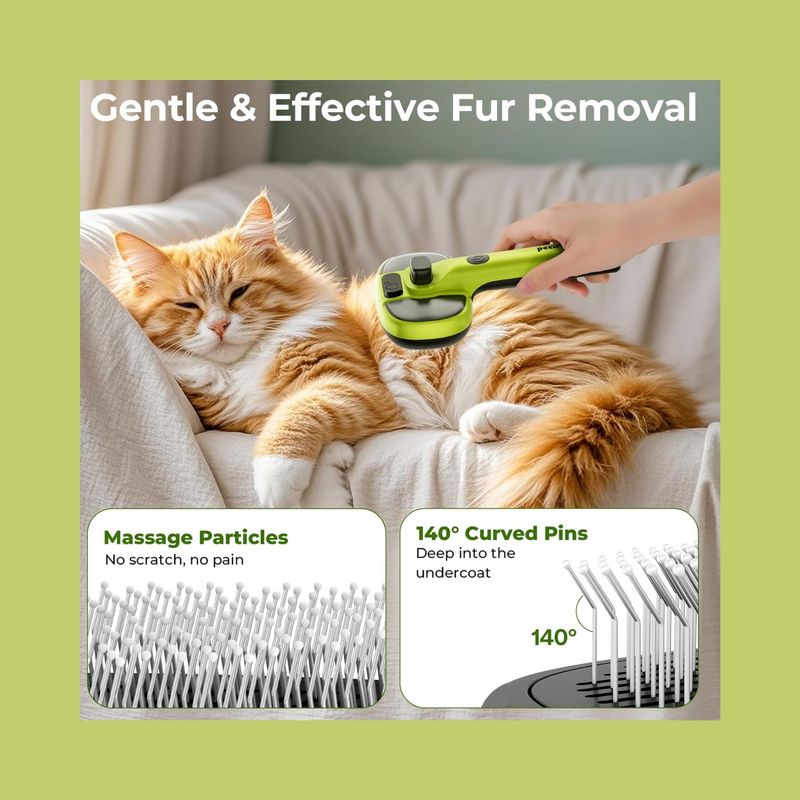 Pet Steam Brush