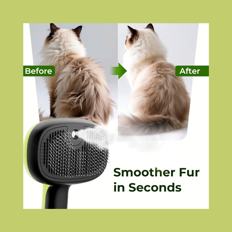 Pet Steam Brush