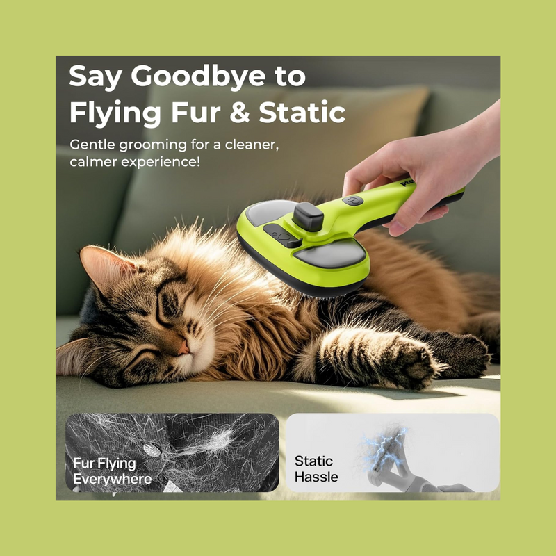 Pet Steam Brush