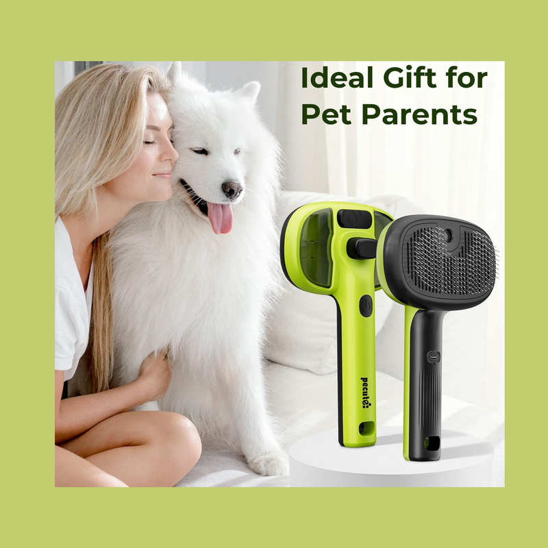 Pet Steam Brush