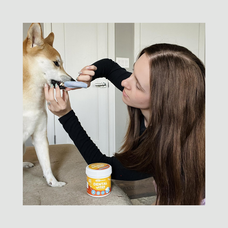 PET Teeth Cleaning Finger Wipes
